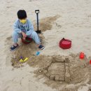 제비호식당 이미지