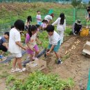 개령서부초등학교 김천신문
