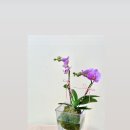 창원토월고등학교 이미지