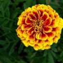 별빛공원 체육시설 이미지