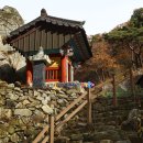 성수산자연휴양림 이미지