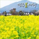 월암재 | 신라달빛기행과 함께 봄 경주 가볼만한곳 (경주벚꽃축제)