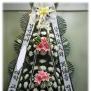 수원-0505 이미지