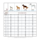 파트라슈 이미지