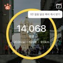바쵸