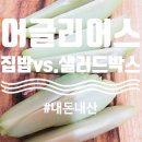 새싹이집밥 | 어글리어스 샐러드박스 vs 집밥박스 솔직후기 (feat. 차요테 효능) 추천인 공유 비트468135