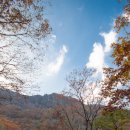 천상골 민박 네이버블로그