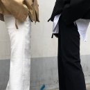 시스템제이
