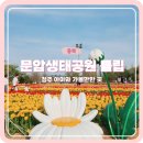 문암정 | 청주 문암생태공원 튤립 축제 공원 놀이터 피크닉 후기
