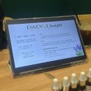 곤찌