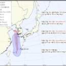 제9호 태풍 종다리 북상..20일부터 영향권, 제주 '비바람' 이미지