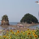 국제꽃식물원 이미지