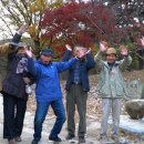 임광빈농장 이미지