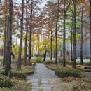 SK황금부동산중개사무소 이미지