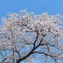 호텔 트리플8 네이버블로그