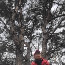 남산농협주유소 이미지