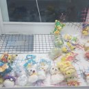 혜자뽑기샵 이미지