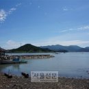 진포시대