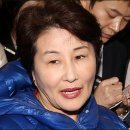 전여옥 카카오 검색결과