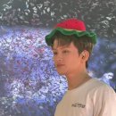 디자인 수박비누 이미지