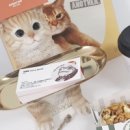 골골탬버린클럽 이미지