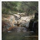 대연상사주 | [경주]경주 남산 진달래 산행(삼릉,상선암,금오산,삼층석탑,용장골)