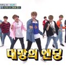 나야나 위키트리