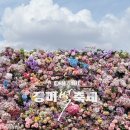 수변공원 (은빛개울공원) | 경기도 오산 <장미빛축제> 고인돌공원 금계국 장미 사진명소 주말 나들이 후기