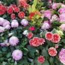 소소리농장 이미지