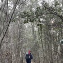 온동경로당 | 신안 임자도 특별했던 섬산행 대둔산