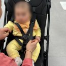 베네피아 평촌점 | 내돈내산 부가부 버터플라이2 휴대용 유모차 후기 | 링크맘 베네피아 평촌점 구매