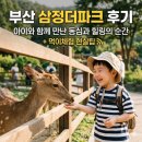 더삼정 | 부산 삼정더파크 후기,동물보다 아이의 웃음이 더 기억에 남은 하루 (+주차·먹이체험 팁)