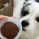 장보고베이커리 | 남포동 아치베이커리 부산 빵지순례 필수코스 주말 웨이팅 두쫀쿠 솔직후기