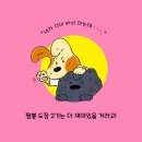 곰 짬뽕 이미지