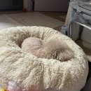 통양사랑테마공원 | [반려견산책] 보물 같은 산책로 발견 사천 서택사랑테마공원