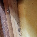 화이트벨리 이미지