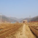 김정우 농장 이미지
