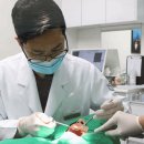 스퀘어치과의원 이미지