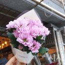 국화라이프 이미지