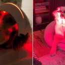 레드라이트 이미지