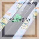 GS25 답십리한신점 | 25. 09 Dobby is free! 9월 일기