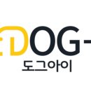 도그마미 이미지