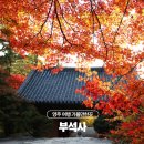 부석사 아래 단풍길 펜션 | 경북 영주 가볼만한곳 부석사 단풍 실시간 꿀팁 가을여행지 추천