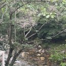 리틀포레 | [서울 근교 베이커리카페] 양평 계곡카페 “리틀포레” 내돈내산 방문후기