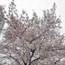 올림픽공원역 1번출구 이미지