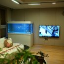 우리수조