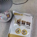 토탈방제 | [화분살충제 추천] 자재1번가에서 만난 효과적인 해충 방제