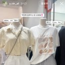 베리뜨
