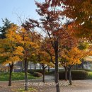 베스트마디의원 | [블챌] 본식 한달전👰🏻‍♀️🤵🏻‍♂️ | 천안 지방분해주사,웨딩관리,승모근보톡스