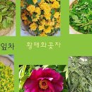 명인 행정사 사무소 이미지